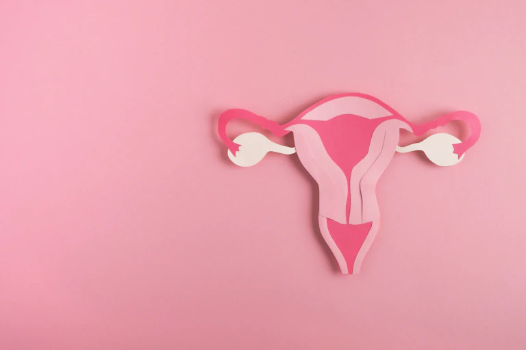 Artist's impression of a vagina and womb