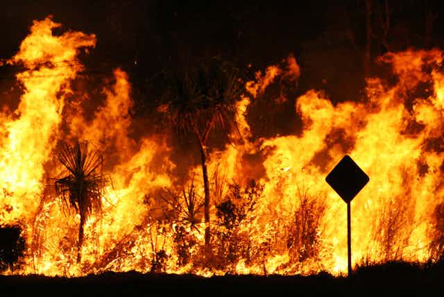 Bushfire raging at night, showing tall flames against a dark sky, silhouette of road sign and trees