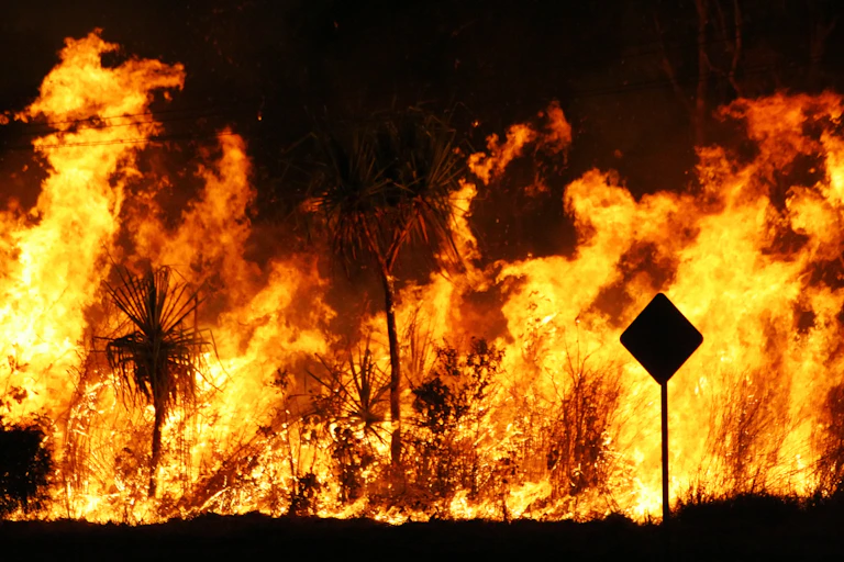 Bushfire raging at night, showing tall flames against a dark sky, silhouette of road sign and trees