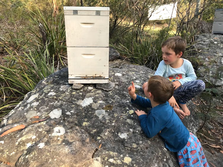 Two children next to a backyard beehive