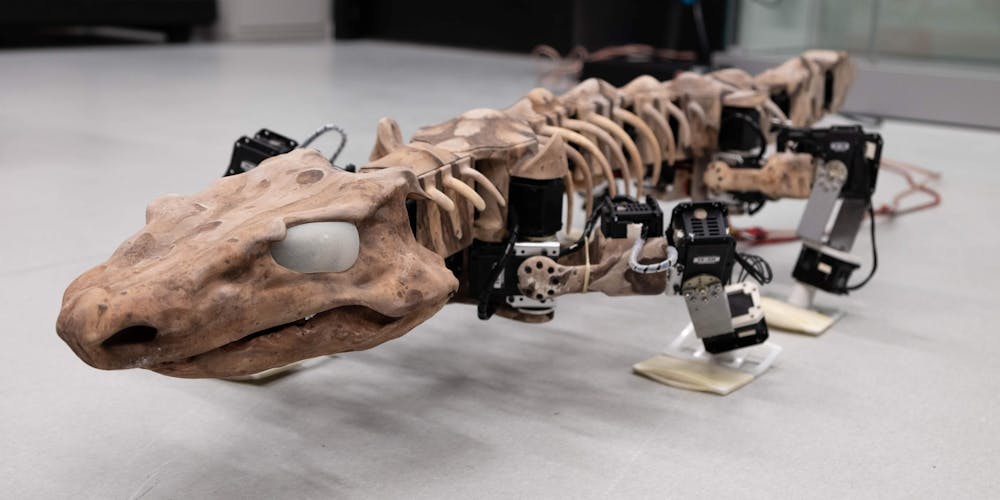 OroBOT : le robot dévelopé à l’EPFL, est inspiré d’un fossile reptilien