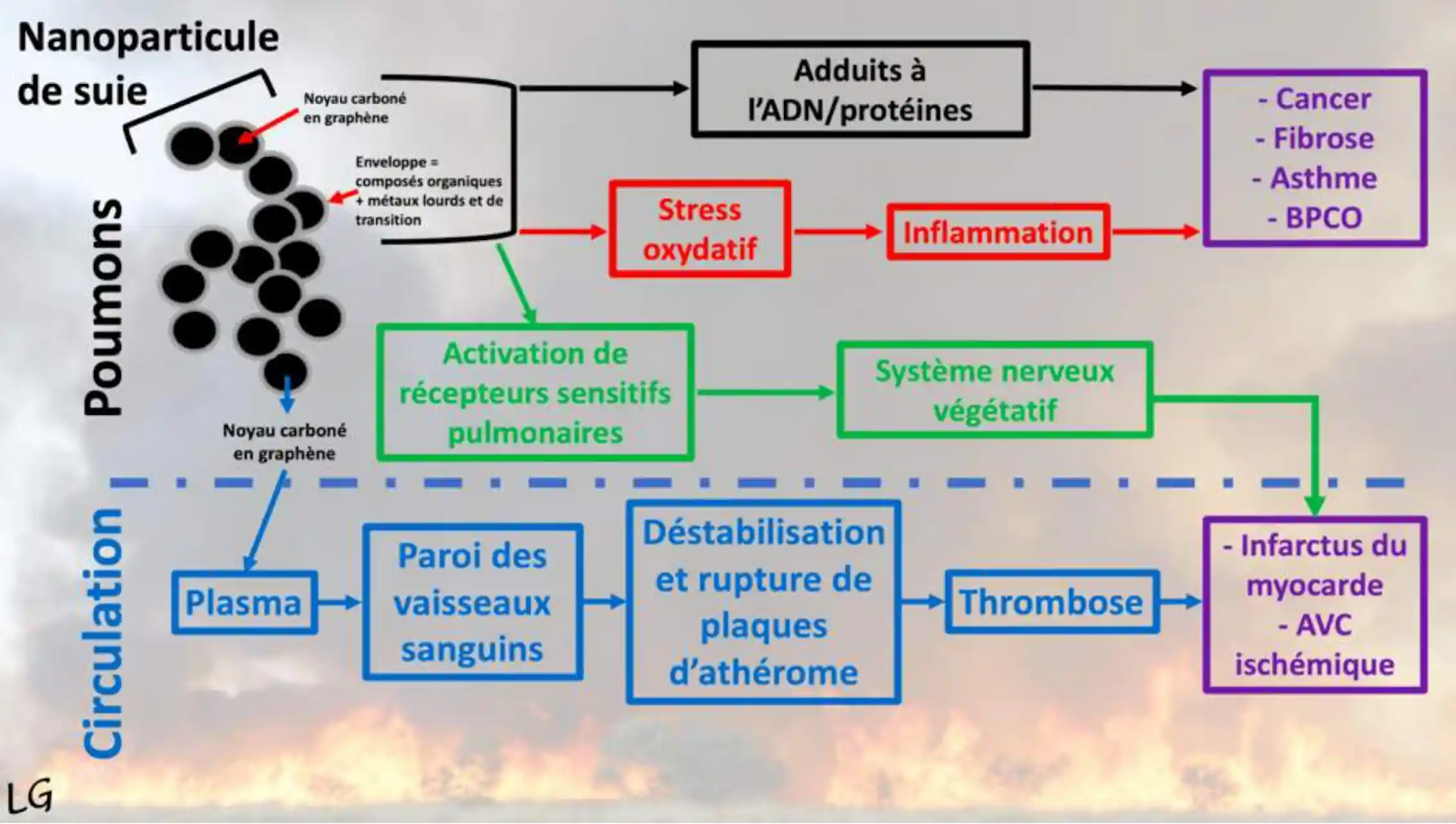 Pourquoi les fumées sont le véritable danger des incendies