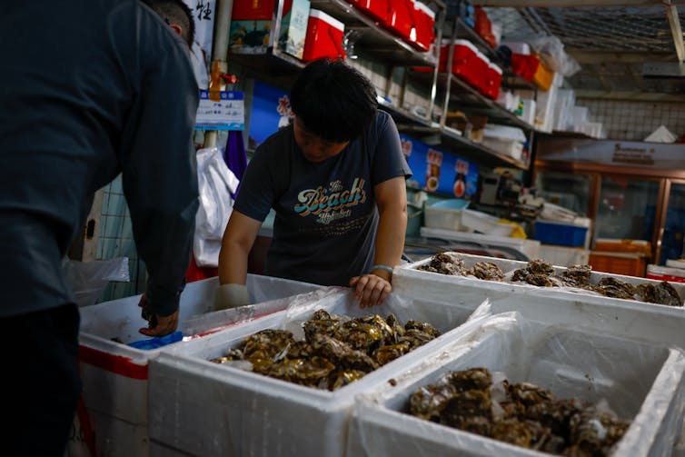Um homem observa ostras em um mercado de frutos do mar em Pequim, China.