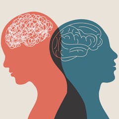 research topics on neuroplasticity