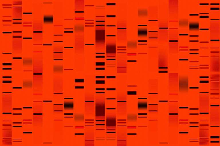 short black horizontal stripes arranged vertically on a red background