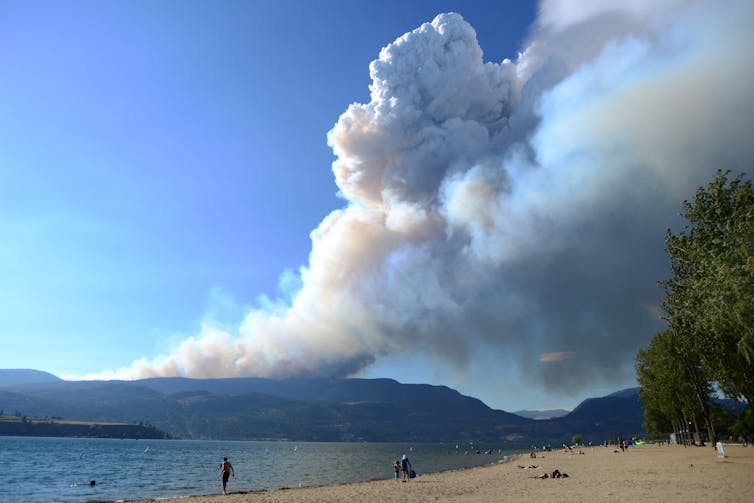 A beach in the foreground with a huge plume of smoke moving across the sky in the distance