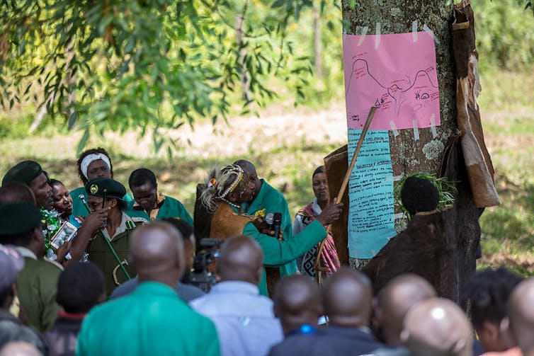 Indigenous forest in Kenya.