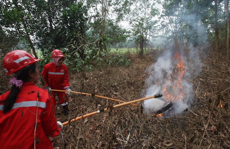 Fire drills in Indonesia forests.