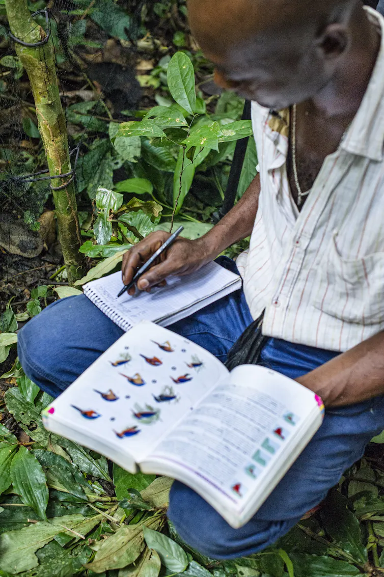 Scientist examine bird population.