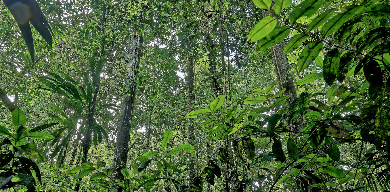 « Le grand vertige », un roman pour penser l’inaction climatique « Le grand vertige », un roman pour penser l’inaction climatique