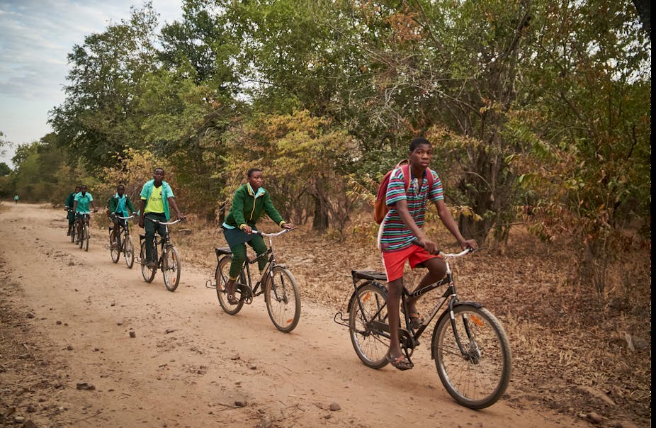 Boys riding bicycles through a forest