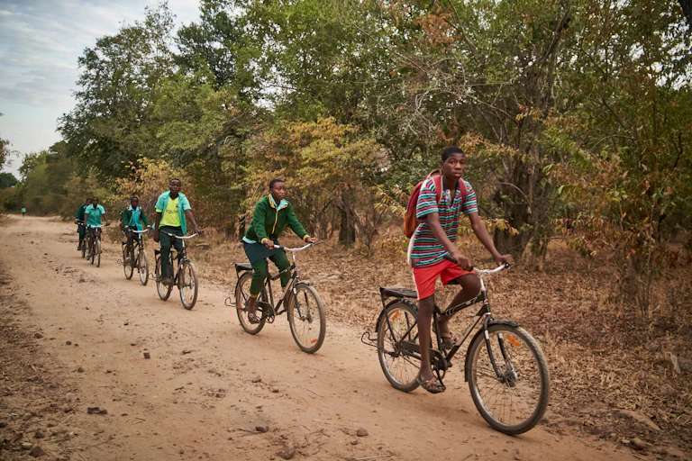 Boys riding bicycles through a forest