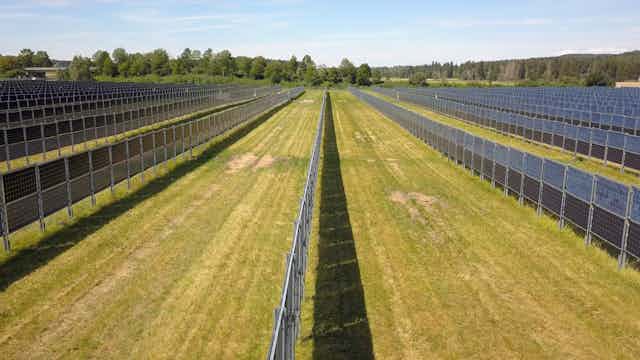 Aasen agrivoltaics solar plant with walls of vertical bifacial modules near Donaueschingen Germany, which allow conventional farming between the rows.