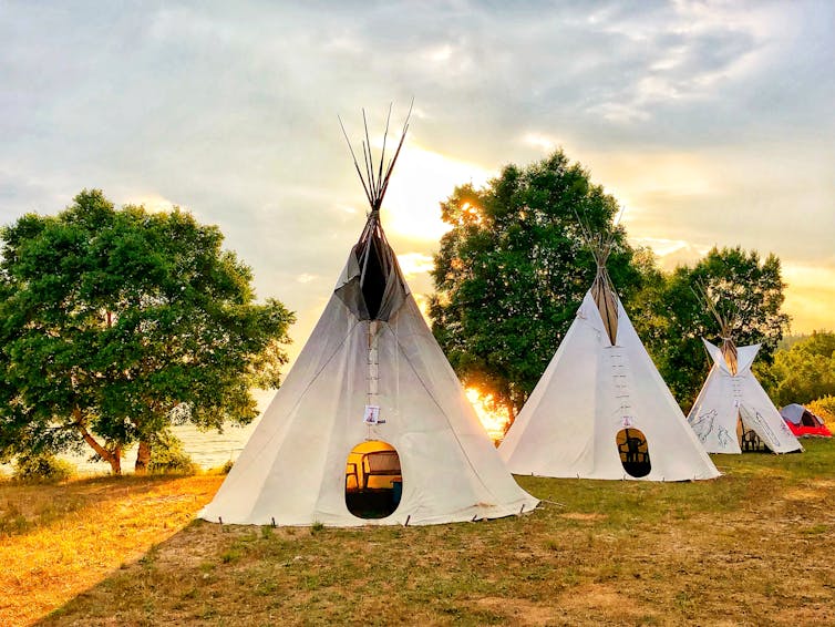 Three white teepees on yellow grass with the sunlight behind them.