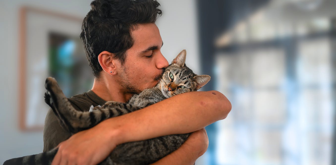 Czy można całować swojego zwierzaka?  Ryzyko zarażenia chorobami przenoszonymi przez zwierzęta jest niewielkie, ale realne