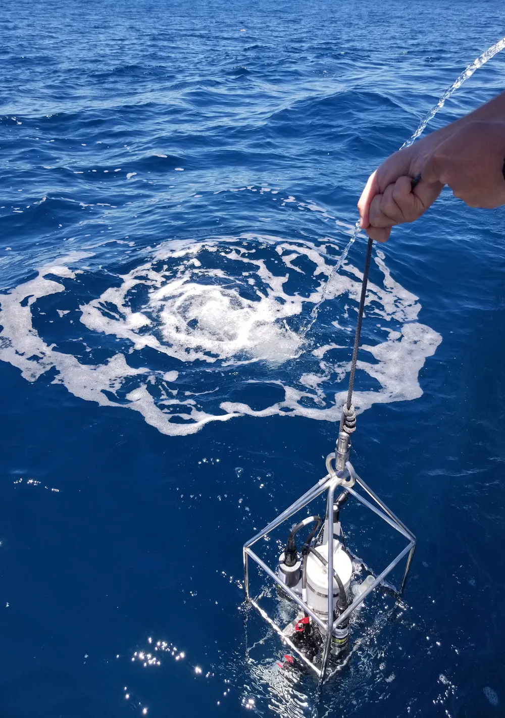 Oceanic Instrument Marine heatwaves don't just hit coral reefs. They can cause chaos on ...
