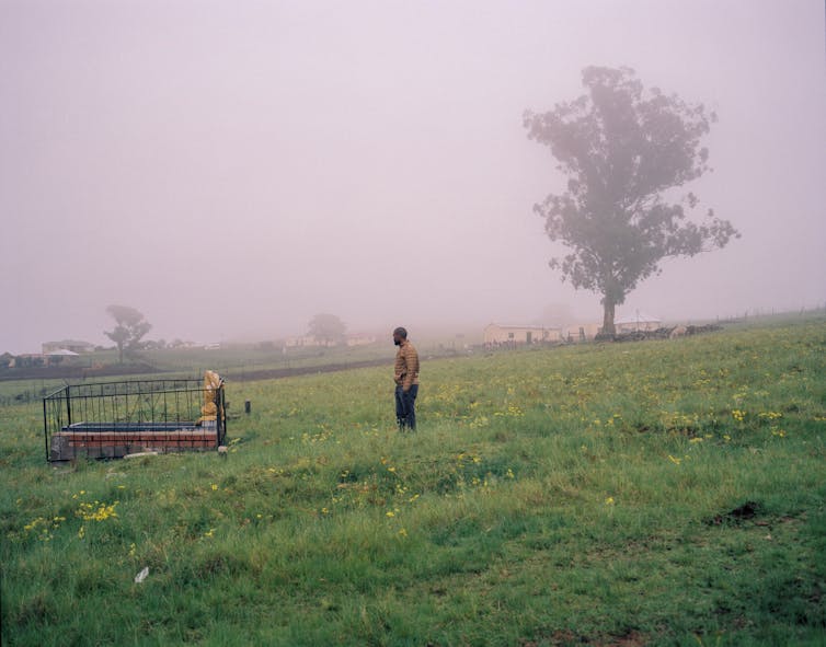 A vast misty landscape with a large tree on the right. On the left, a man stands observing a grave.