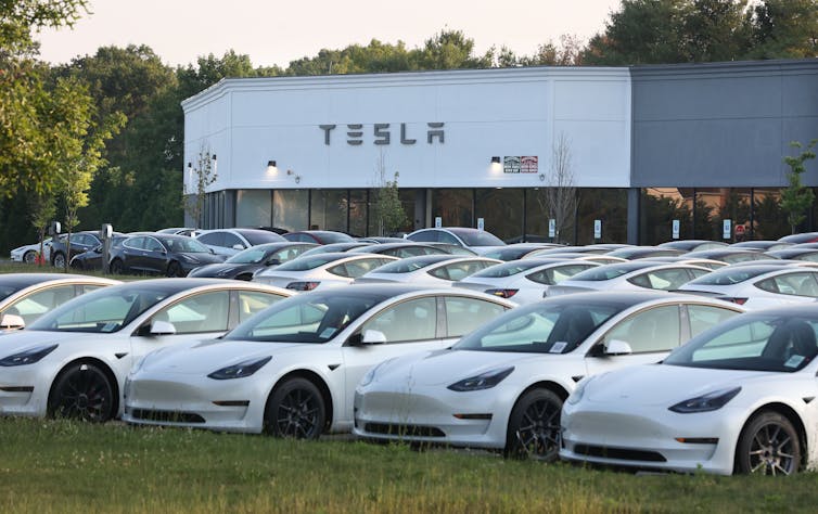 A Tesla dealership with large numbers of white electric vehicles parked together.