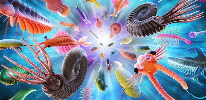 natural selection research paper ideas