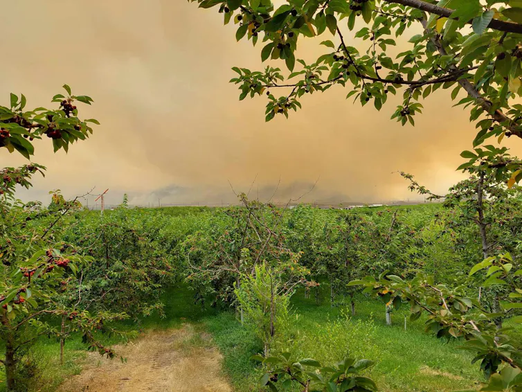 A farm with dark smoke in the sky above.