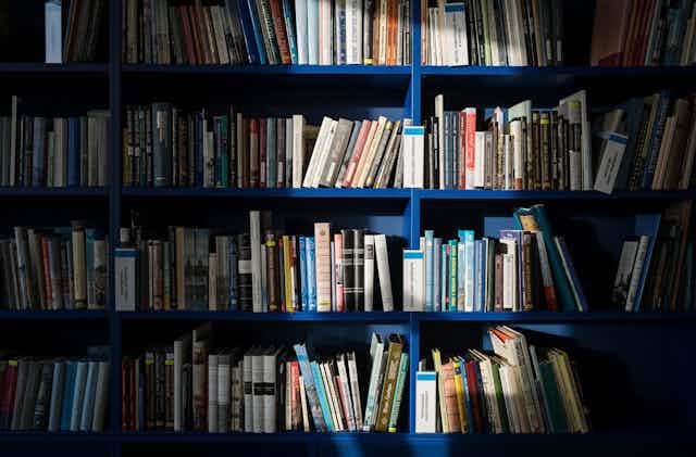 Blue bookshelves lined with books. 