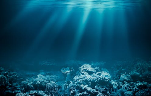 Marine heatwaves don't just hit coral reefs. They can cause chaos on the seafloor