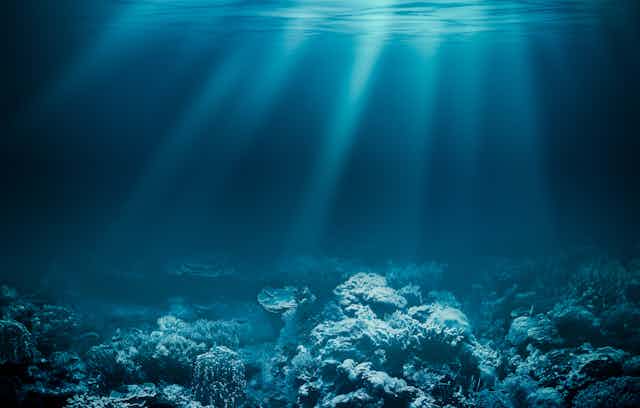 A sea floor with white corals seen underneath turquoise water