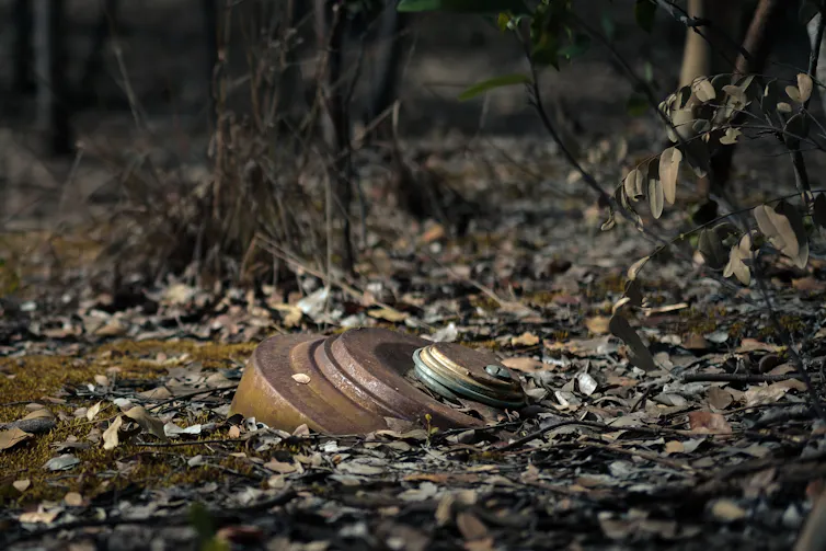 Soviet-era anti-tank landmine (TM-57) in a forest in Cuito Cuanavale,Angola 2022.