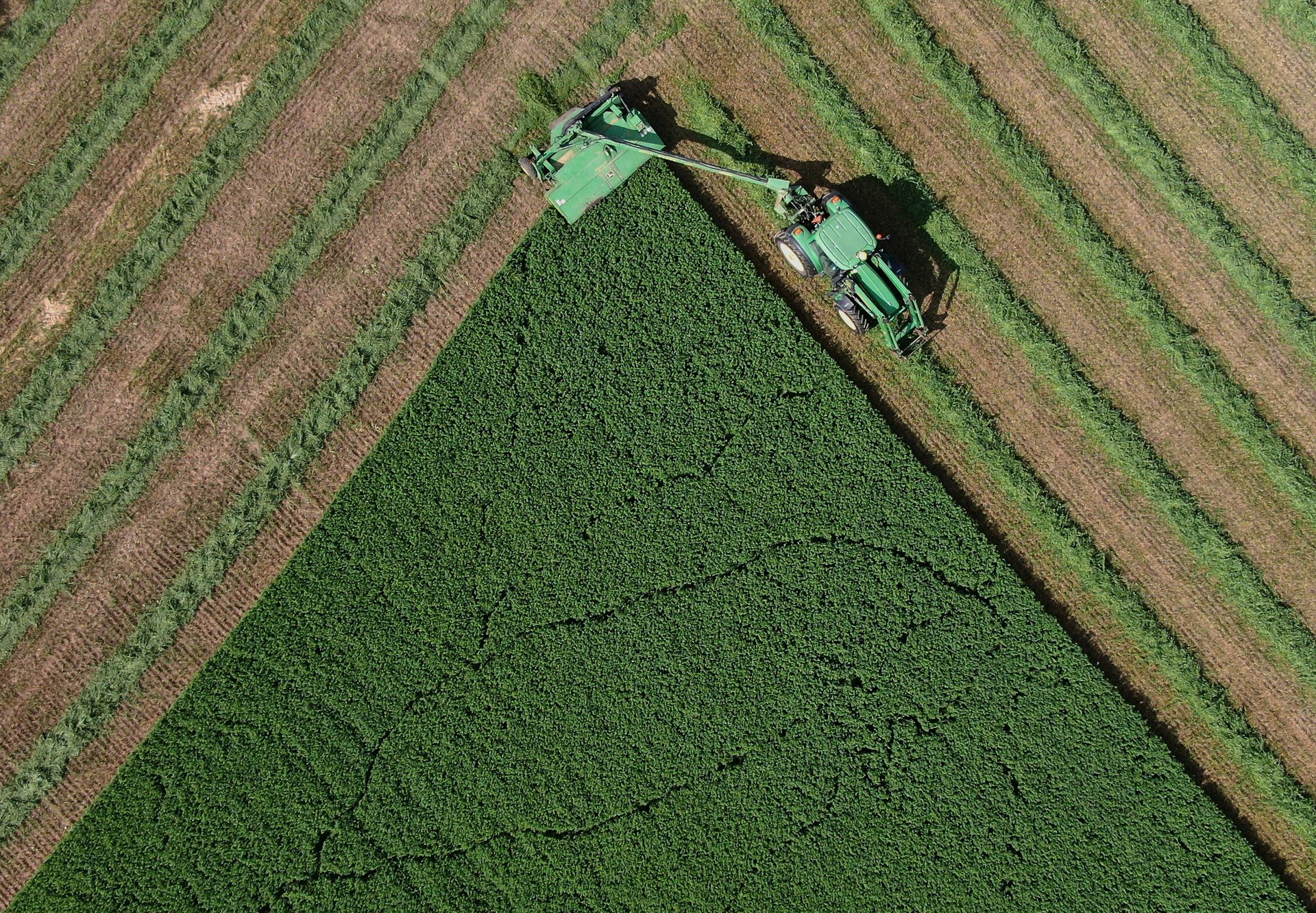 An agricultural vehicle seen harvesting crops.