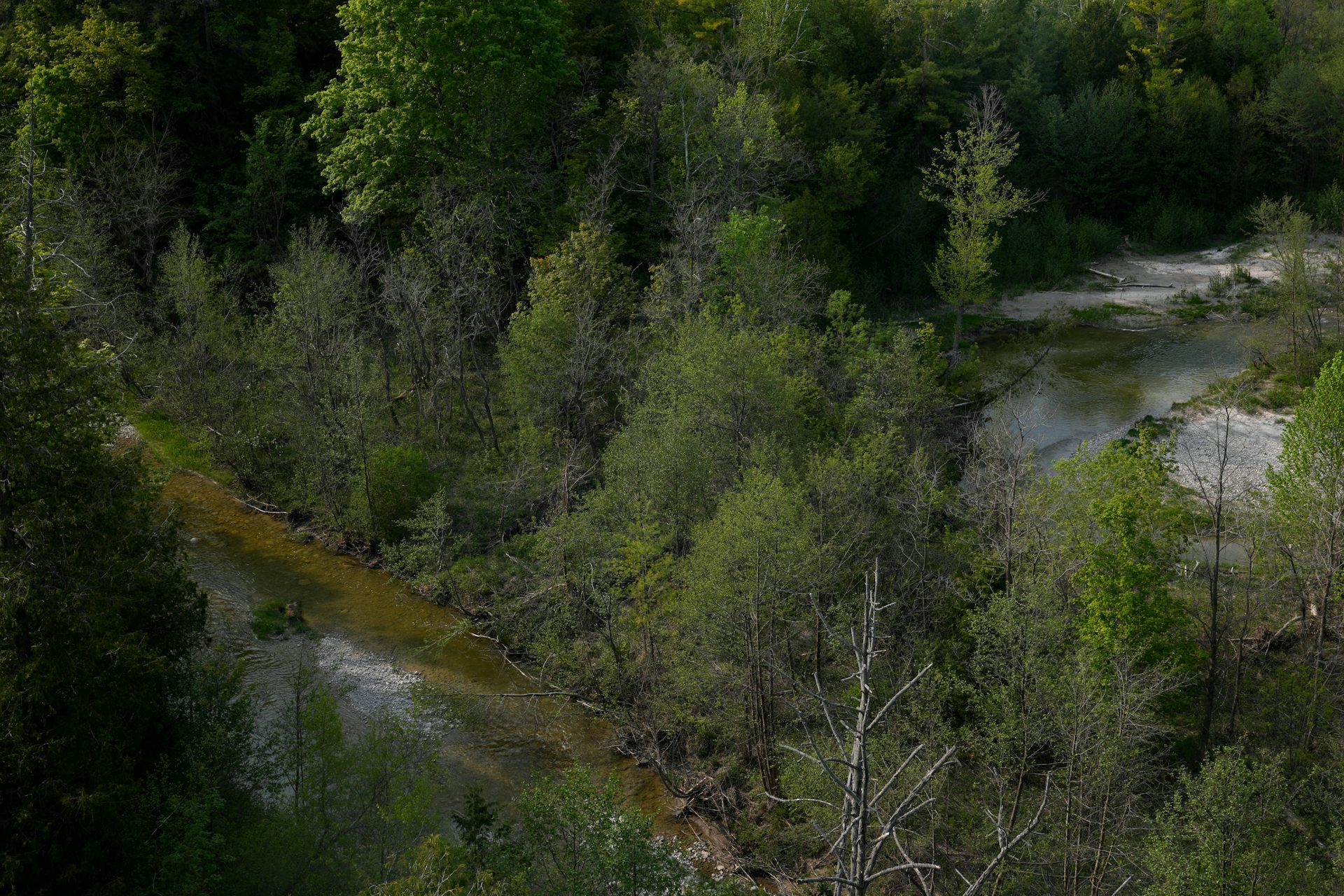 Global Biodiversity: Why The Proposed Changes To Ontario’s Greenbelt Matter