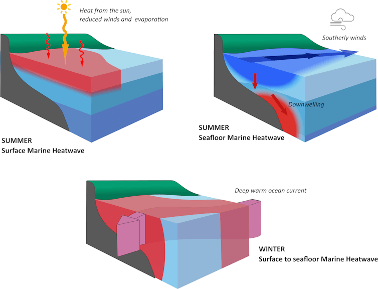 schematic of different marine heatwaves
