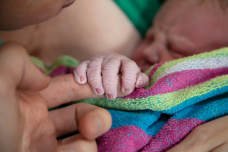Newborn baby wrapped in towel, with mum holding wrinkly tiny fingers