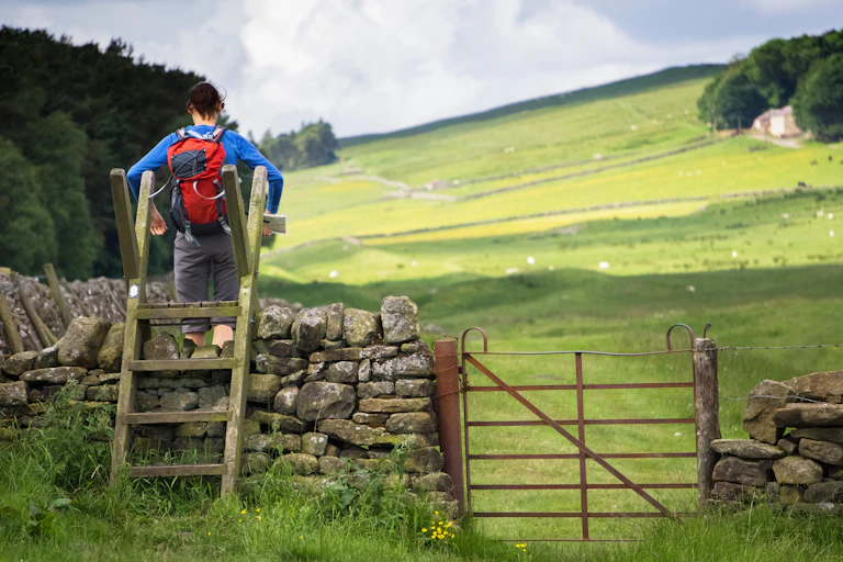 A hiker climbing over a stone wall using a wooden ladder.