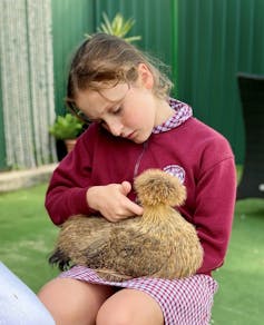 A student holds a chicken in the after school program.