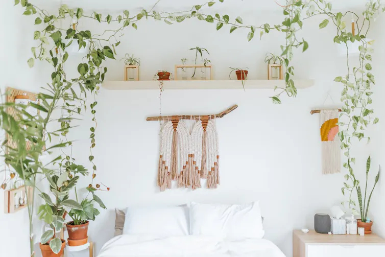 Habitacion adornada con plantas