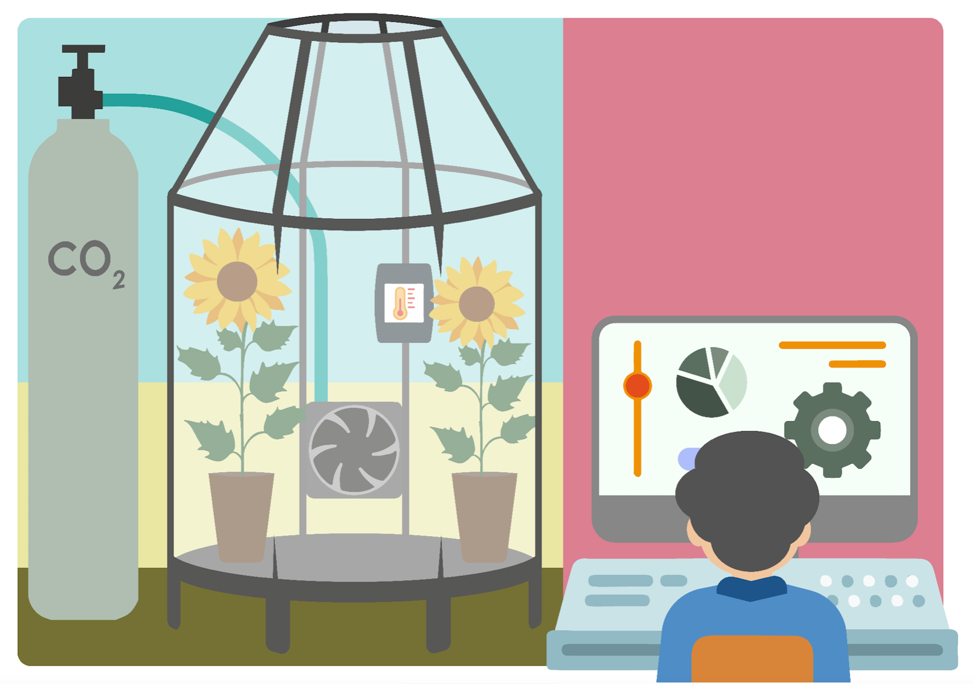 Na ilustração, se vê uma estrutura de vidro, com uma abertura no alto. Dentro, estão dos girassois. Ao lado, um cilindro de CO2, com um tubo ligado ao interior da estrutura. Ao lado um cientista avalia dados no computador.