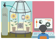 Na ilustração, se vê uma estrutura de vidro, com uma abertura no alto. Dentro, estão dos girassois. Ao lado, um cilindro de CO2, com um tubo ligado ao interior da estrutura. Ao lado um cientista avalia dados no computador.