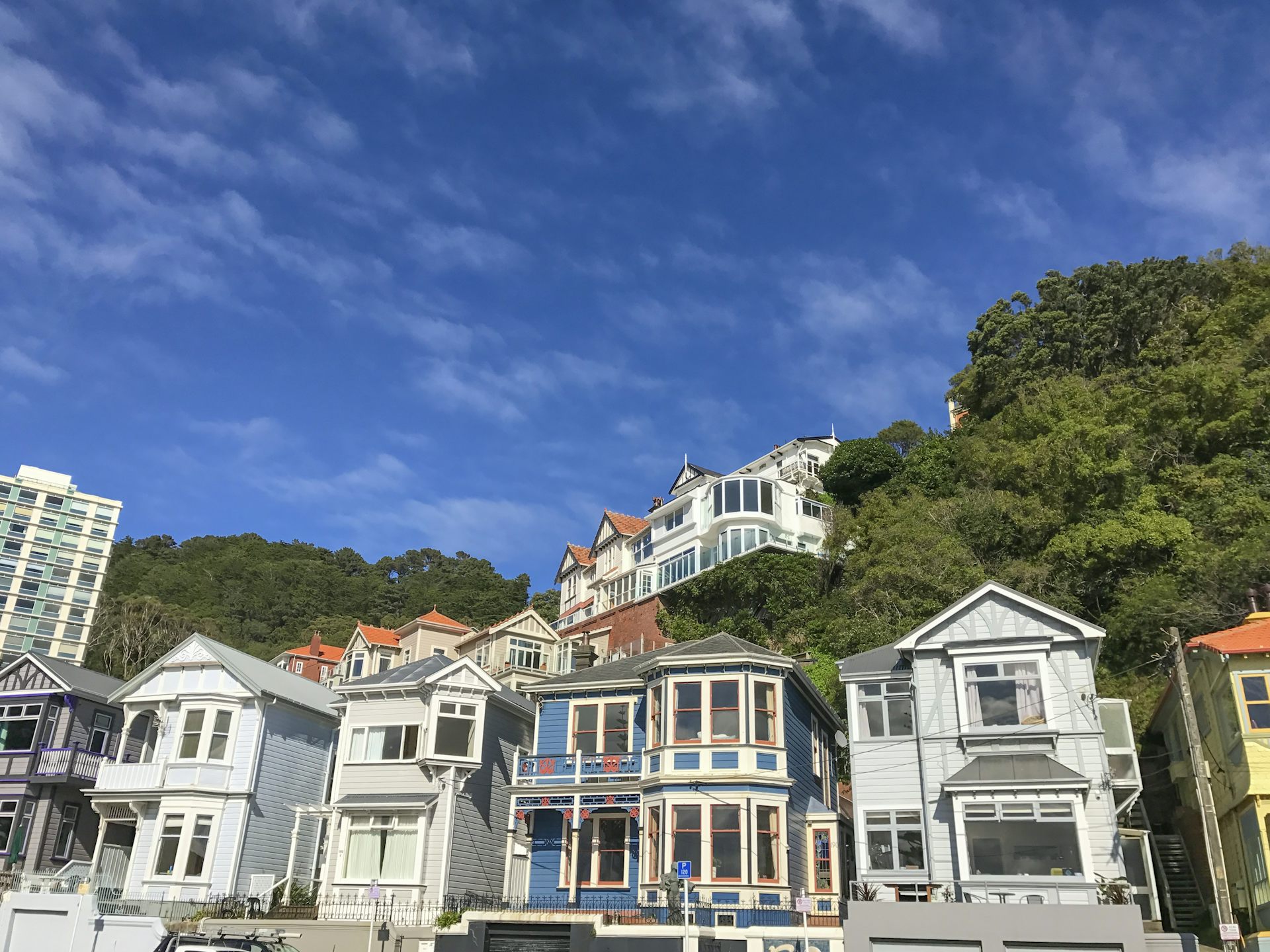 typical New Zealand houses in Wellington.