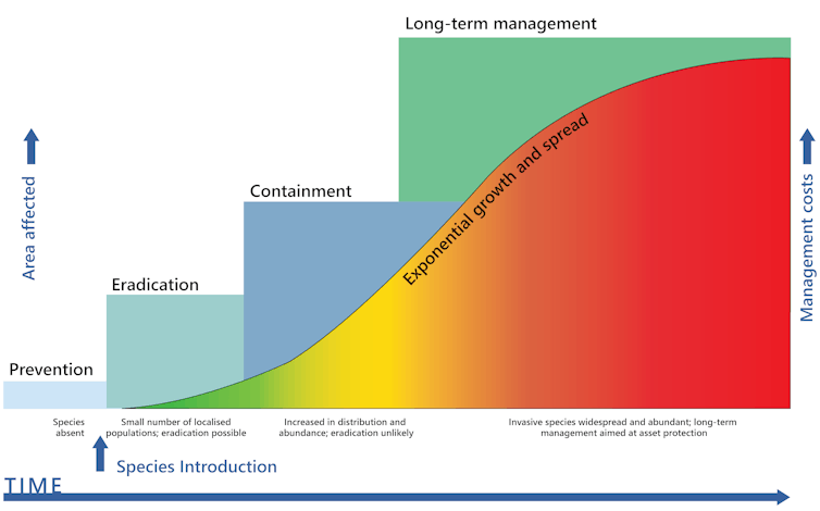 A graph showing how the cost of managing an invasive alien species gets much larger once it is established.