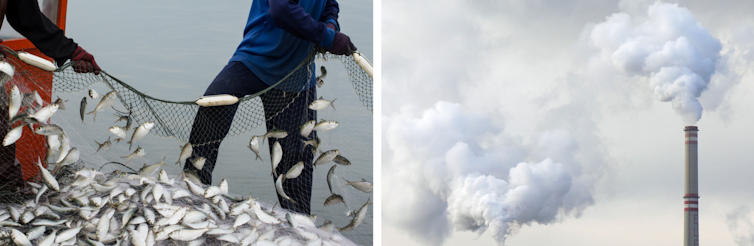 Sur l'image de gauche, un filet de pêche rempli de poisson. Sur l'image de droite, une cheminée de centrale à charbon