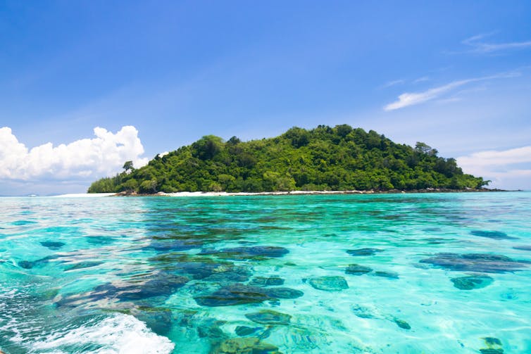 A tropical island.