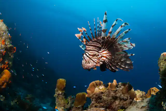 Fish Invasion UN invasive species report reveals scale of threat to nature and people ...