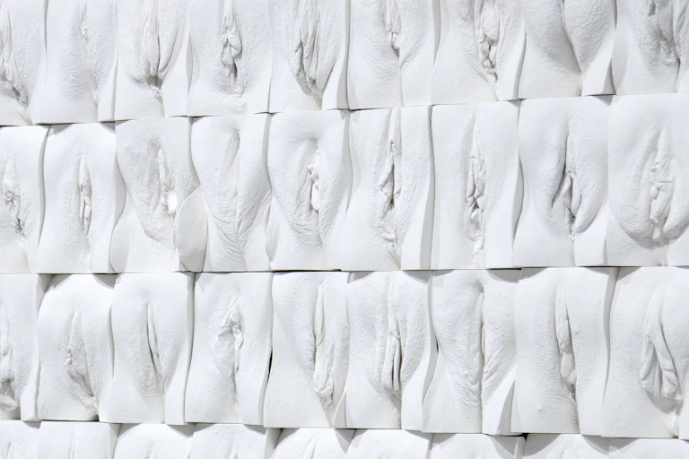 A mural of vulvas