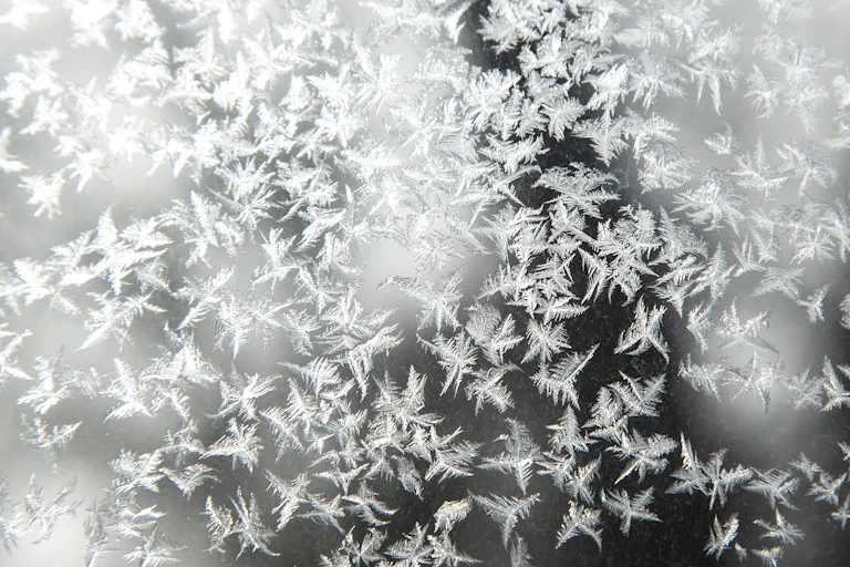 Frost crystals forming on a pane of glass.
