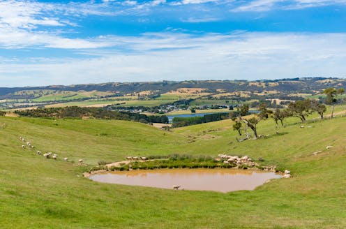 Farmers are famously self-reliant. Why not use farm dams as mini-hydro plants?