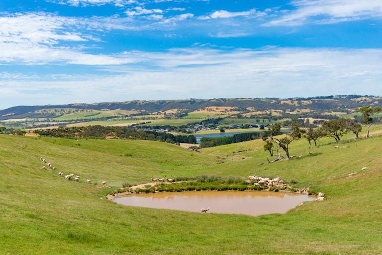 farm dam