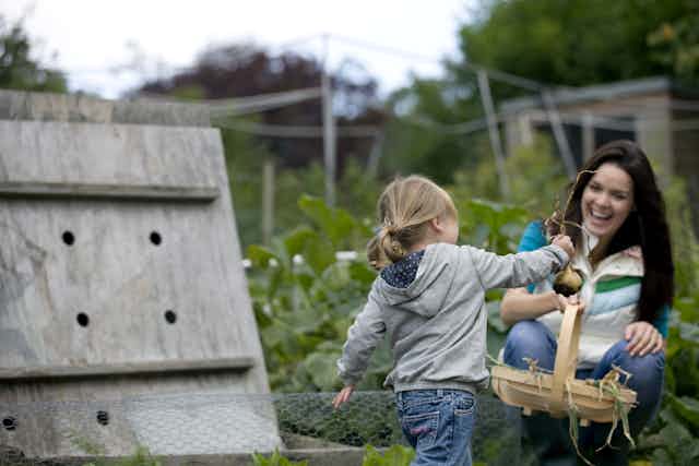 A young girl pulling up onions on an allotment.