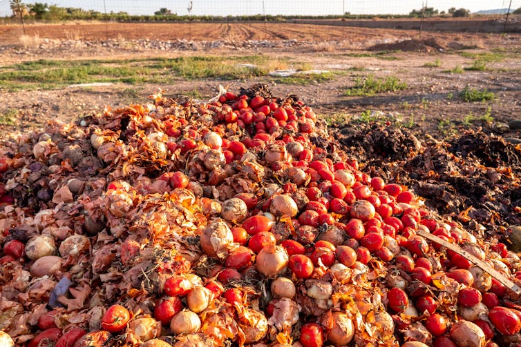 Vegetables rotting away in a landfill.