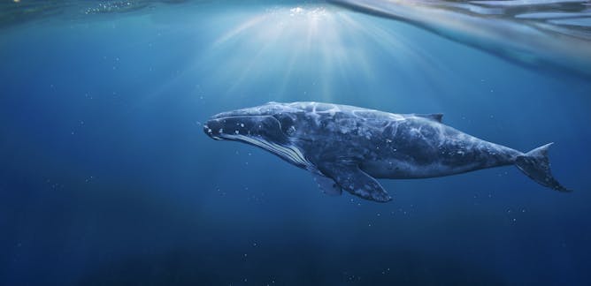 research paper about oil exploration