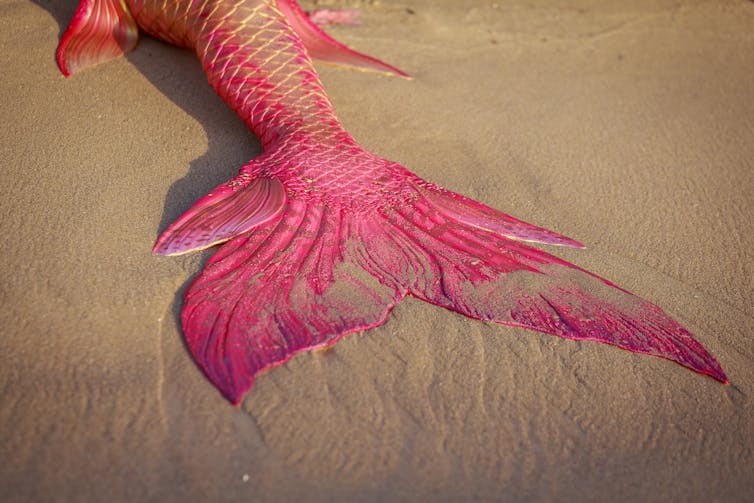 The tail of a mermaid covered in sand.